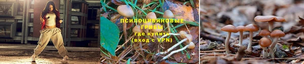 мяу мяу кристалл Арсеньев