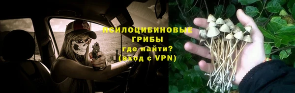 МДПВ Армянск