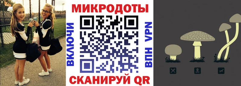 Галлюциногенные грибы ЛСД  Купить закладки  Ефремов 